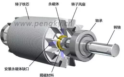 籠型永磁轉子